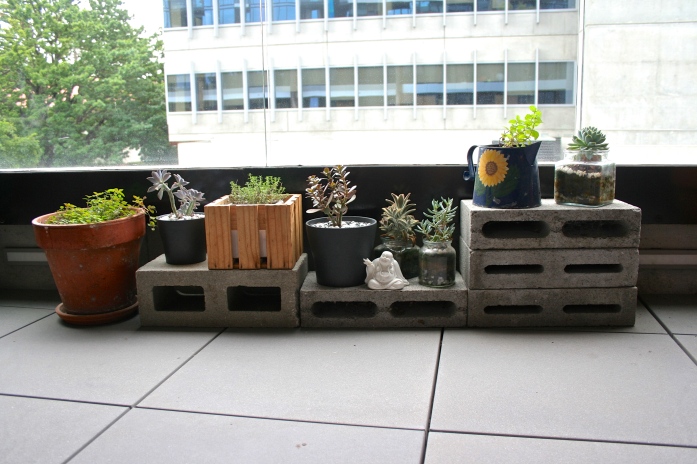 Cinder blocks & plants